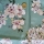 Prunus vert